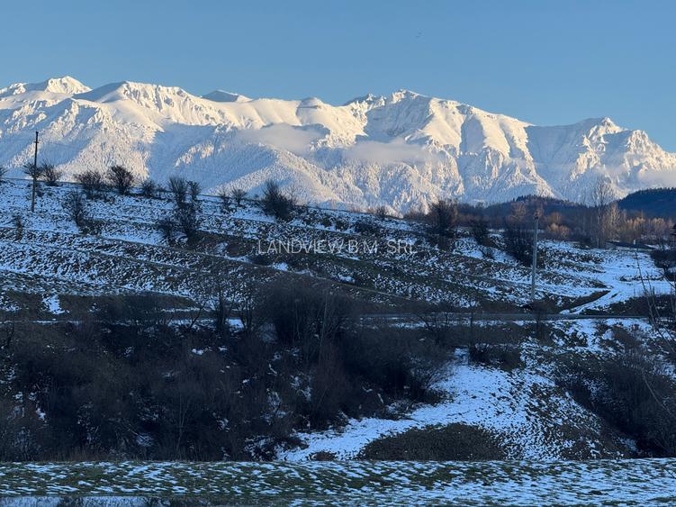 Teren intravilan 667 mp in Zarnesti zona Grui pentru casa - 10