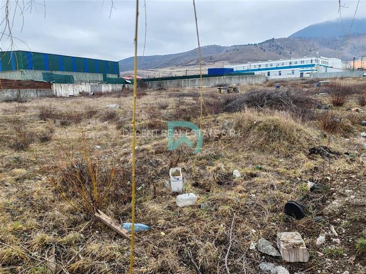 Vanzare teren intravilan, Codlea, Brasov - 3