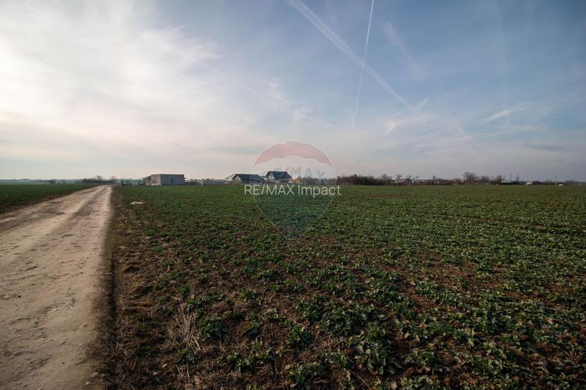 Teren Intravilan de vanzare 21000 mp Balotesti Soseaua Unirii - 9