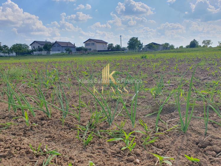 TEREN INTRAVILAN - MOARA VLASIEI - 2