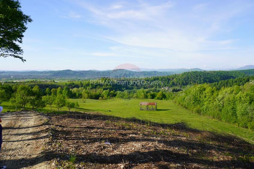 Teren 15,000mp Sighetu Marmatiei / Strada Mocanitei - 3
