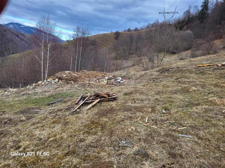 Teren, Zona de Interes Turistic-Cheile Gradistei,  8800mp - 4