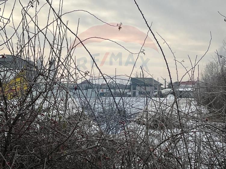 Teren 471mp Otopeni / Strada Nichita Stanescu - 2