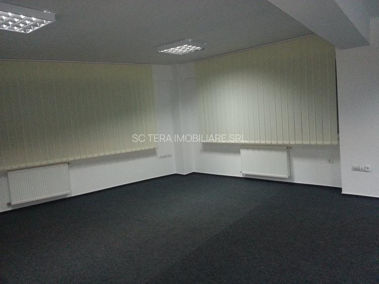 VANZARE CASE VILE - 31