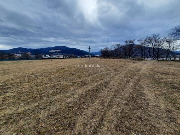 Teren Alexandru cel Bun, Vaduri (Colacu) 2045 mp, Cod 145472 - 2