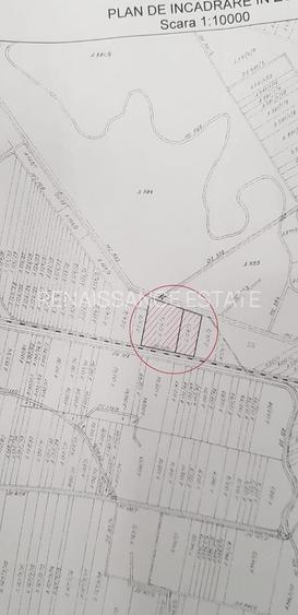 Mosnita Noua Teren 10.000mp | Front 63m | La asfalt - Zona de Case - 7