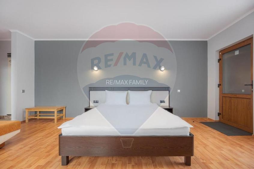 Casă / Vilă cu 16 camere de vânzare Sanmartin/Stefan cel Mare - 12