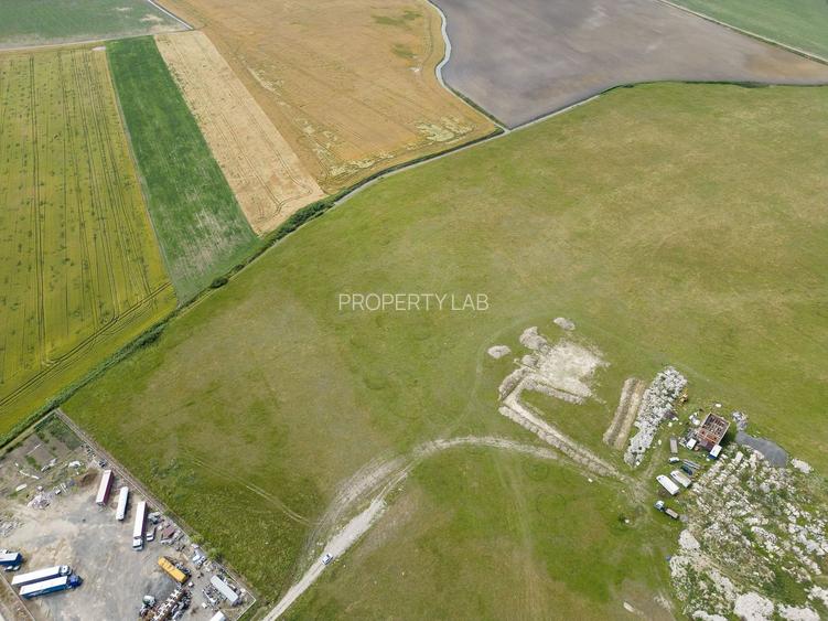 Teren intravilan de 26,606mp Sacalaz - 13