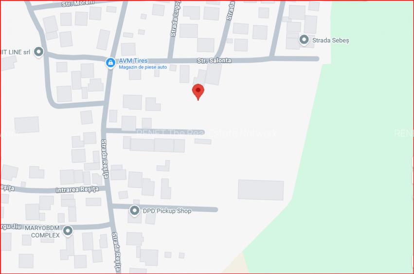 STEFANESTII DE JOS, CASA P+1E, LOT 242 MP! - 30