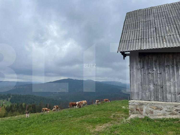 Ocazie! Casa de vacanta cu vedere la Lacul Belis - 3