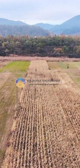 Teren intravilan de vanzare 5533 mp – Alexandru cel Bun - 7