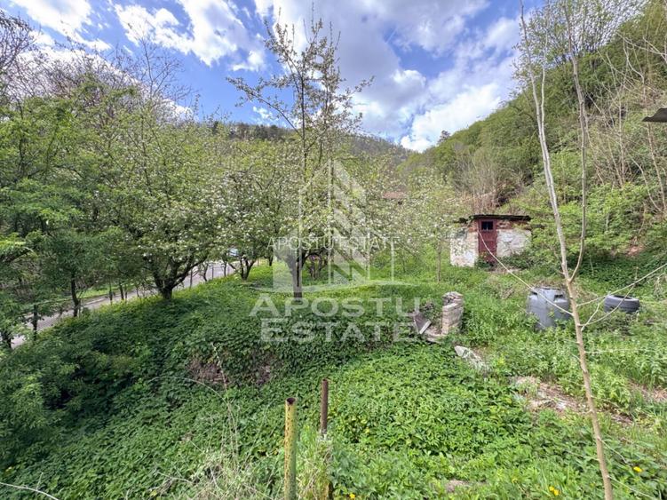 Casa batraneasca cu 2 camere, vedere panoramica, in Toplita, Hunedoara - 4
