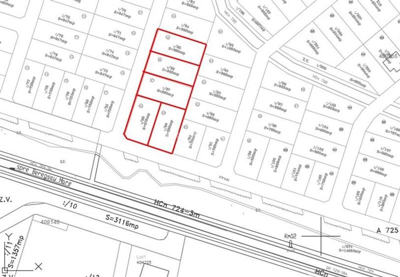 Teren pentru CASA de vanzare in zona SACALAZ la iesire - 2