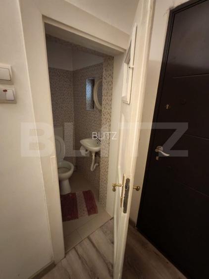 Apartament cu 3 camere, curte comuna de 284 mp, locatie excelenta, Gruia - 9