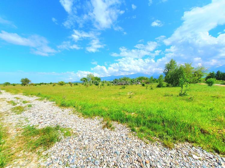 Teren intravilan 1000 mp, Valea Avrigului - 3