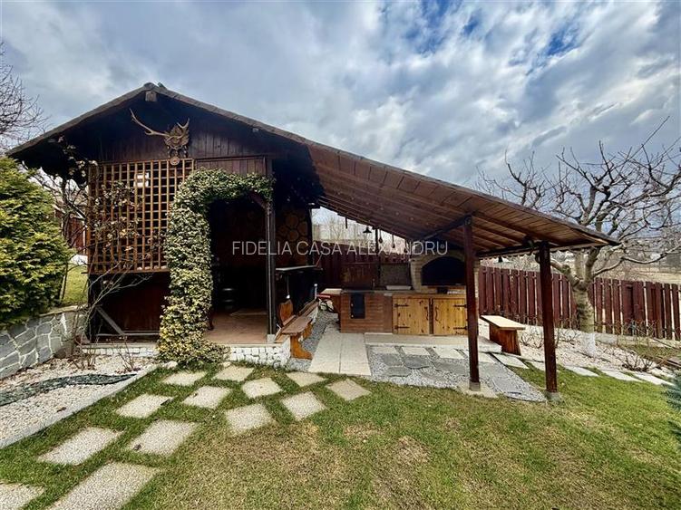 Casa vile de vânzare Buciuim-iasi - 8