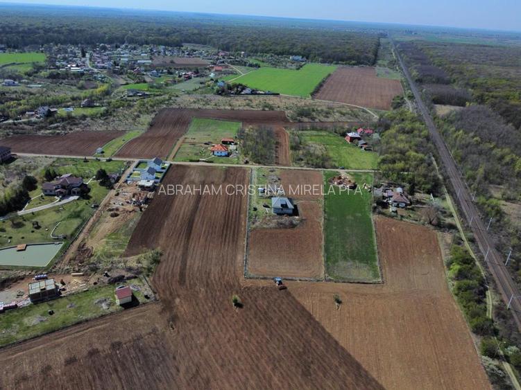 Vanzare Teren Intravilan, sat Balteni, 1000 mp - 6