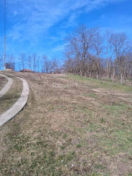 Vând teren intravilan  - 2