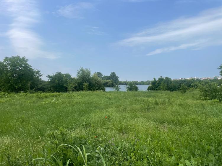 Damaroaia-Coralilor Deschidere Lac Grivita
