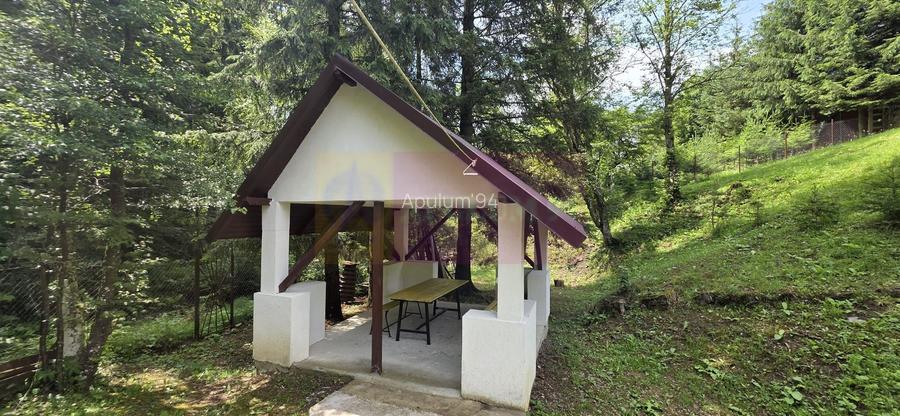 Vila din padure in Valea Doftanei - 44