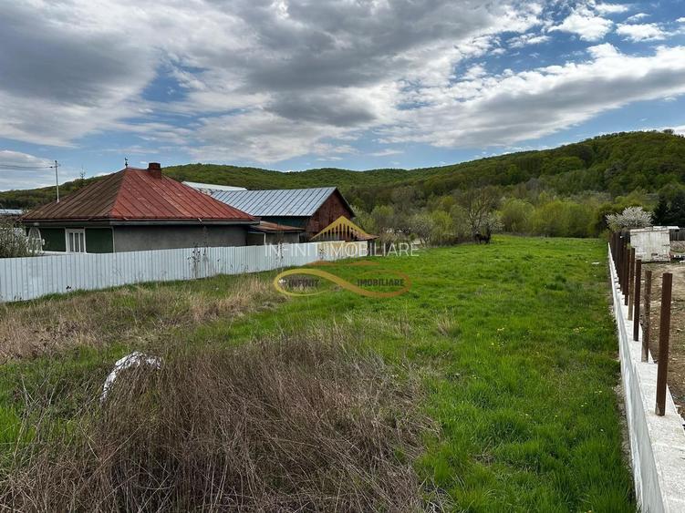 Teren intravilan de vanzare 2900 mp Luncani -Bacau - 6
