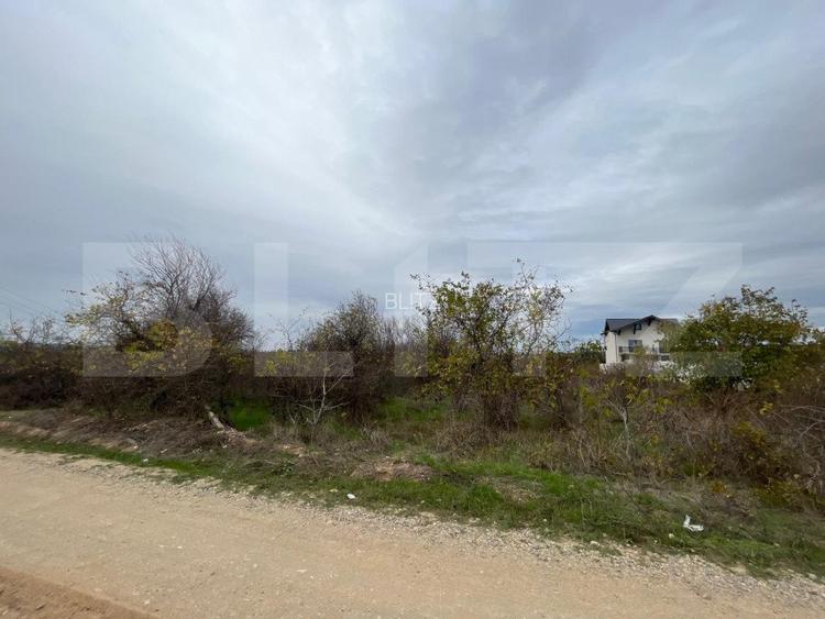 Teren 3000 mp, dubla deschidere de 32 ml in proximitatea Str Craiovei/Carcea - 2