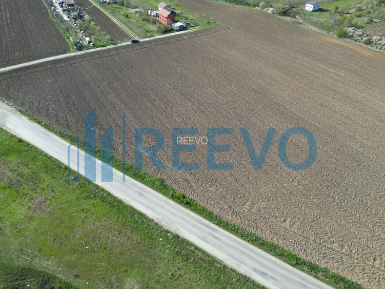 Teren de vânzare, Com. Nicolae Bălcescu, Jud. Bacău - 9