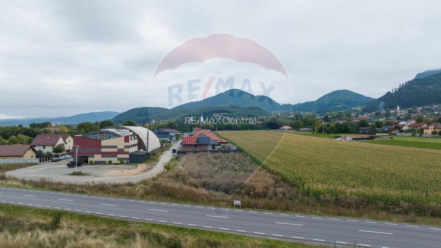 Teren 440mp Sacele - Strada Gospodarilor - 6