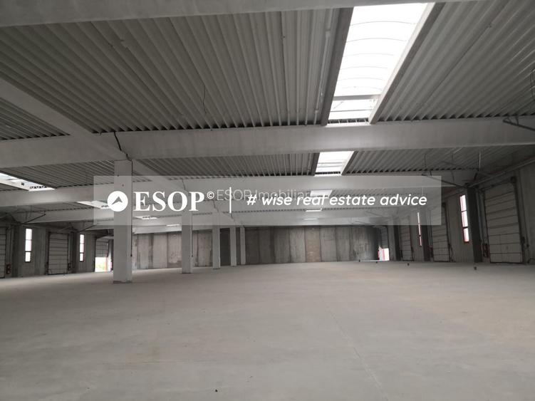 Hale industriale, parc modern, Rudeni, Chitila, Ilfov- ID 15462 - 7