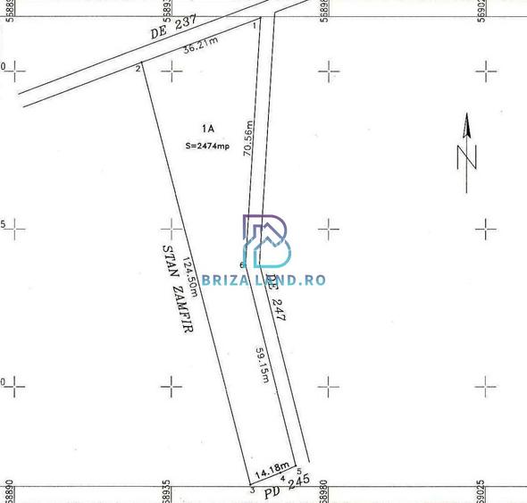Domnesti, Teghes, teren la padure, str. Argesului, teren 2475mp, d=36.2m - 5