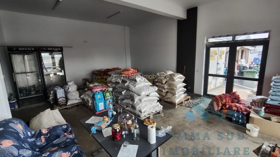 Vila - Spatiu Comercial - P + 1E + M - 360 mp - Orasti / Comuna Frumusani - 3