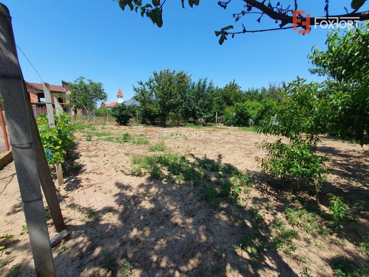 COMISION 0% Duplex la Rosu, Peciu Nou - Total de 231 mp utili, teren 1000 mp - 28