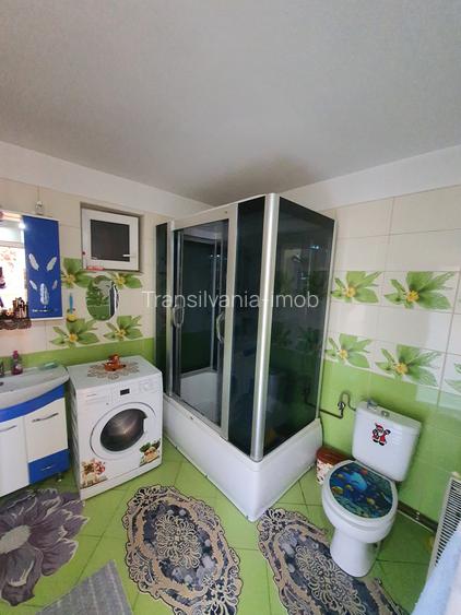 Casa de vanzare in Teliu - 11