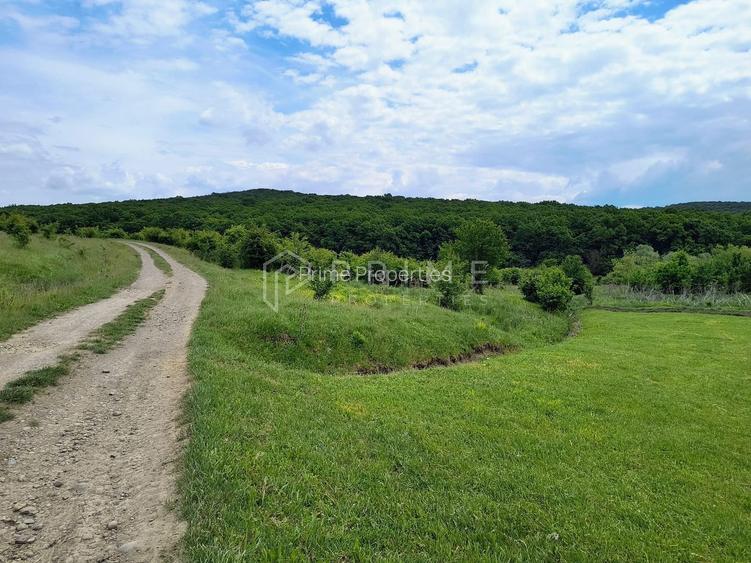 Oportunitate de investiție – 4 parcele în Corunca, 20 €/mp - 2