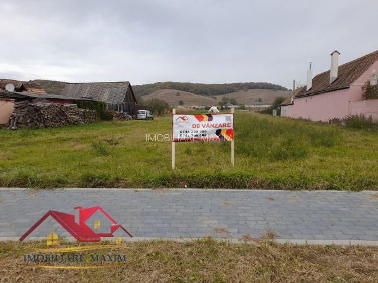 Imobiliare Maxim - teren intravilan - 6