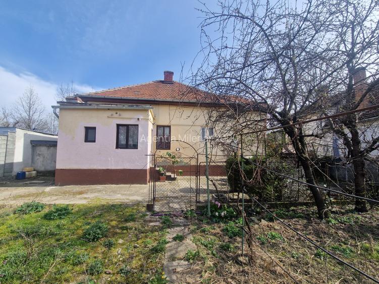 Situata pe frumoasa strada Maslinului in zona Blascovici, - 9