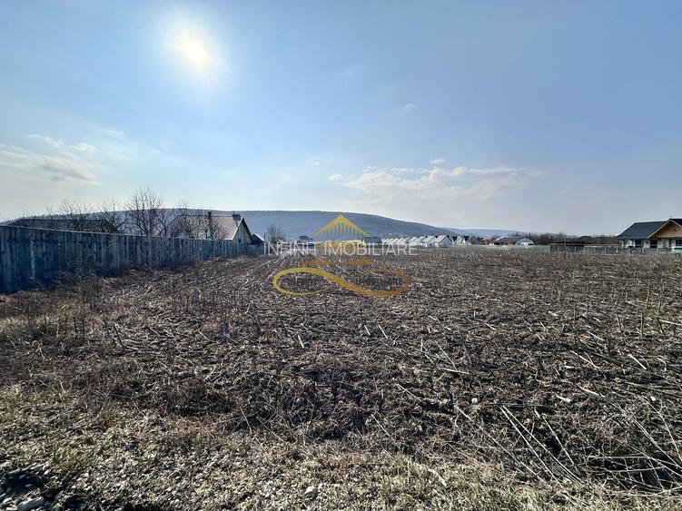 De vanzare teren intravilan Hemeius Bacau - 7