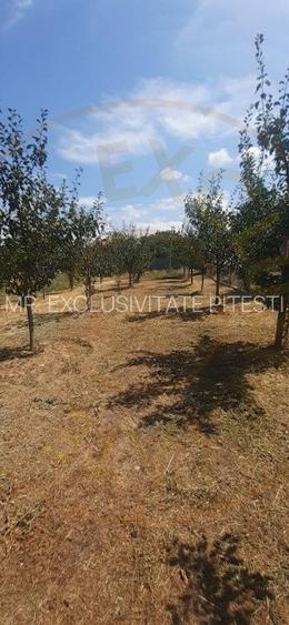 0% Comision - 2095 mp TEREN INTRAVILAN - SERBOENI ARGES - 4