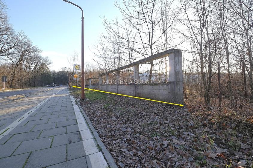 SNAGOV - langa Lidl si padure, 577 mp. teren intravilan cu deschidere de 33 ml. - 6