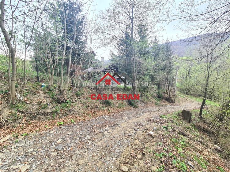 Teren intravilan in Valea Doftanei cu iesire la Parajul Paltinu--1000 mp--120e - 10