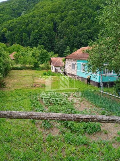 Casa batraneasca de vanzare, 4 camere, in Hunedoara, sat Micanesti - 35