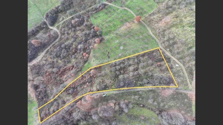 Teren de vânzare in Groși, Maramureș, 55 ari  - 2