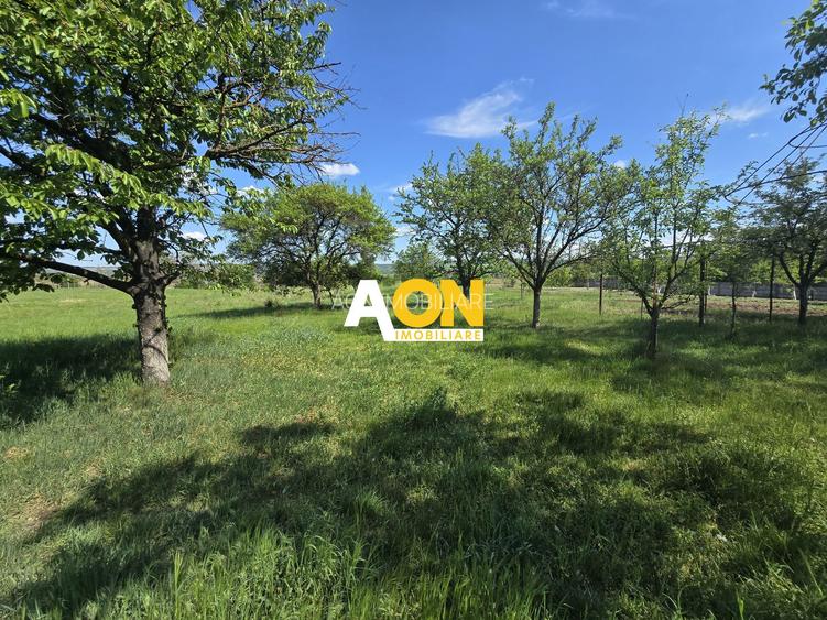 Casa Individuala, 4 Camere 1500mp Teren, Partos - 16