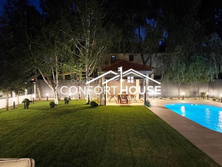 Vila de lux, stil contemporan -  IANCU NICOLAE - 51