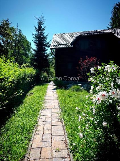 Casă de vacanță tip Chalet pe Valea Muresului  - 9