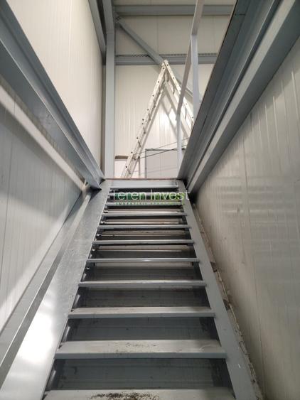 Hala depozitare -  Cernica – Theodor Pallady - 24