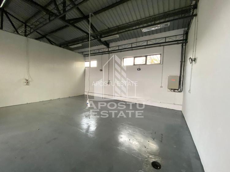 Hala de inchiriat Timisoara - Dambovita, depozitare, service auto - 5