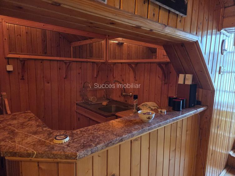 DECEBAL-PIATA MUNCII-METROU,VILA 400 MP,SUPERBA,765000 EURO - 12