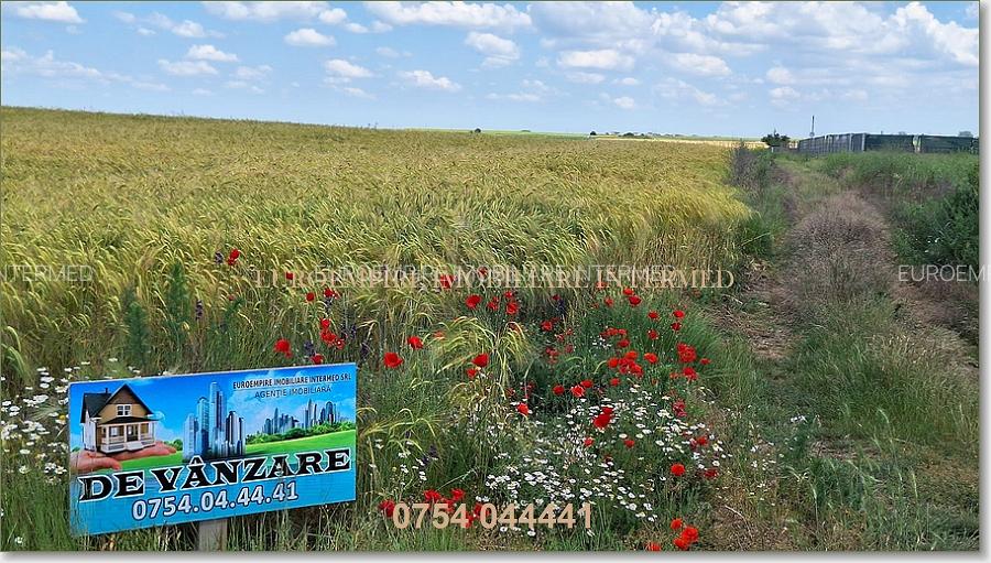 Teren de vanzare intravilan 5000mp localitatea Lazu - 3