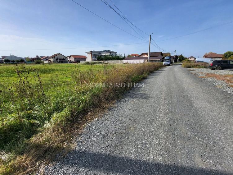 677mp  - Teren Mosnita - Cartier Europa, in apropiere de Lidl - 4